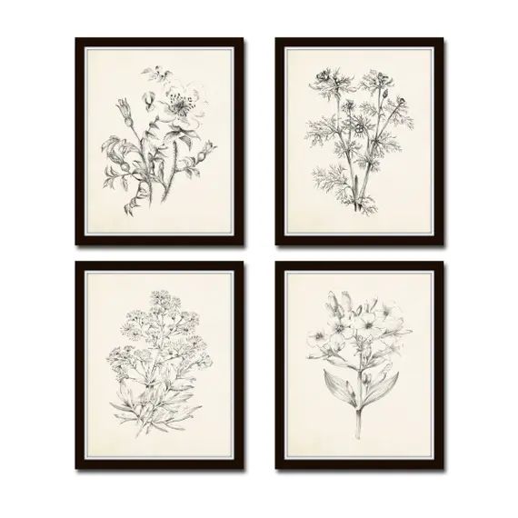 Vintage Botanical Sketch Prints Set No. 2 Botanical Prints | Etsy | Etsy (US)
