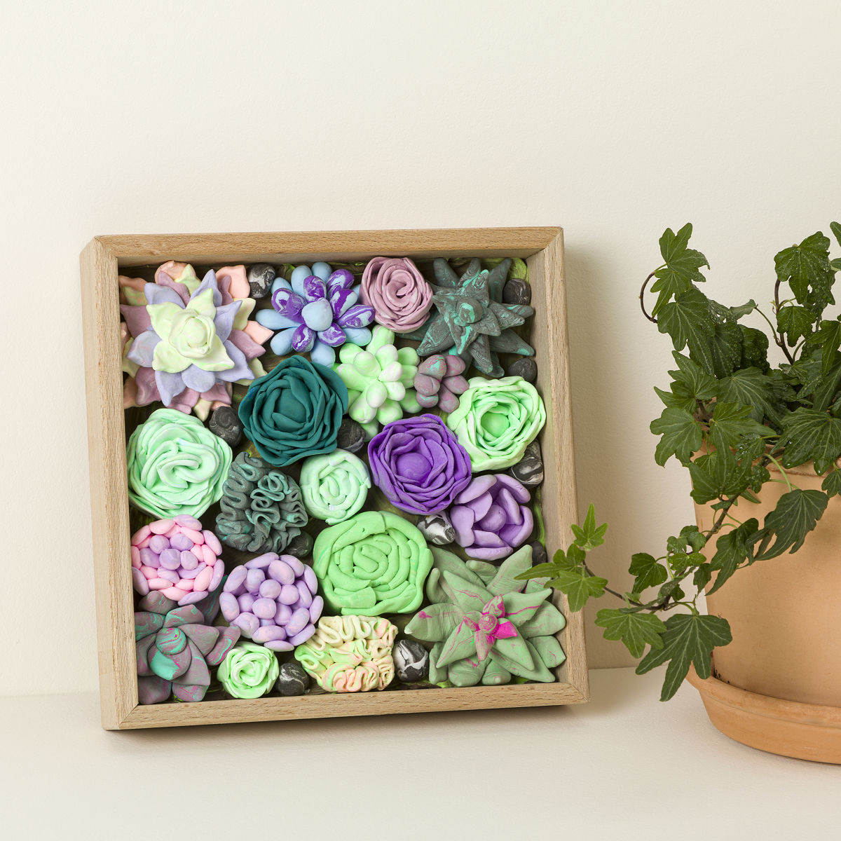 Sculpt Your Own Succulent Art | UncommonGoods
