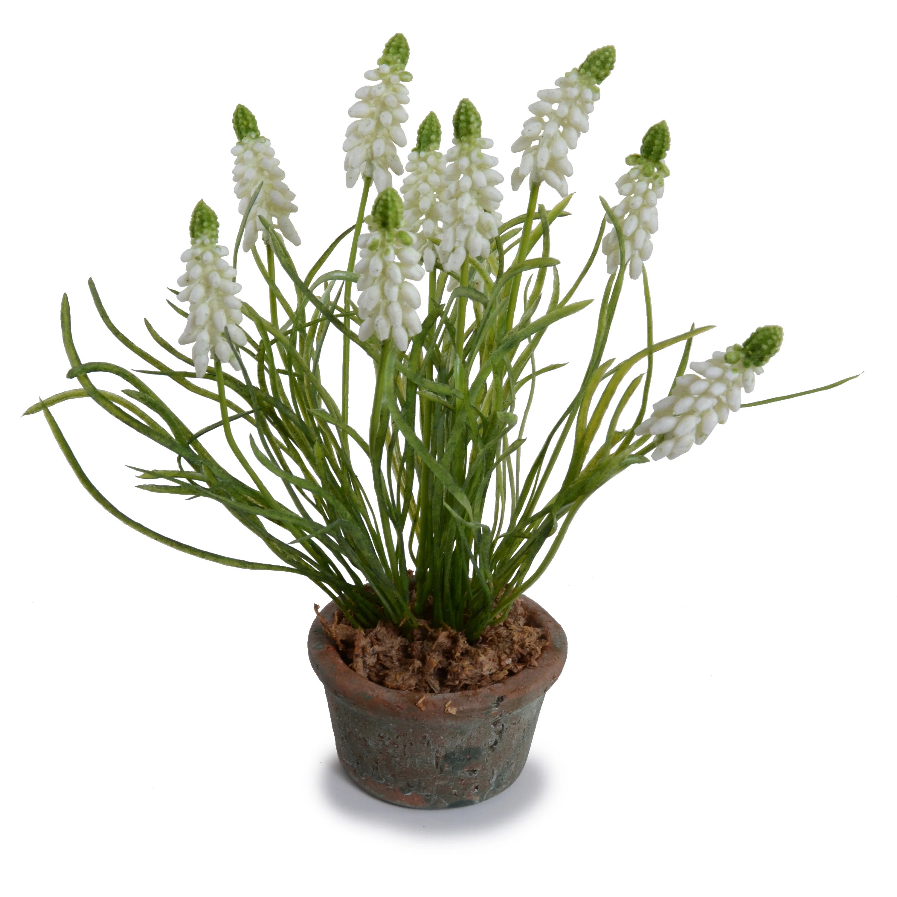 Grape Hyacinth Floral Arrangement in Pot | Wayfair Professional