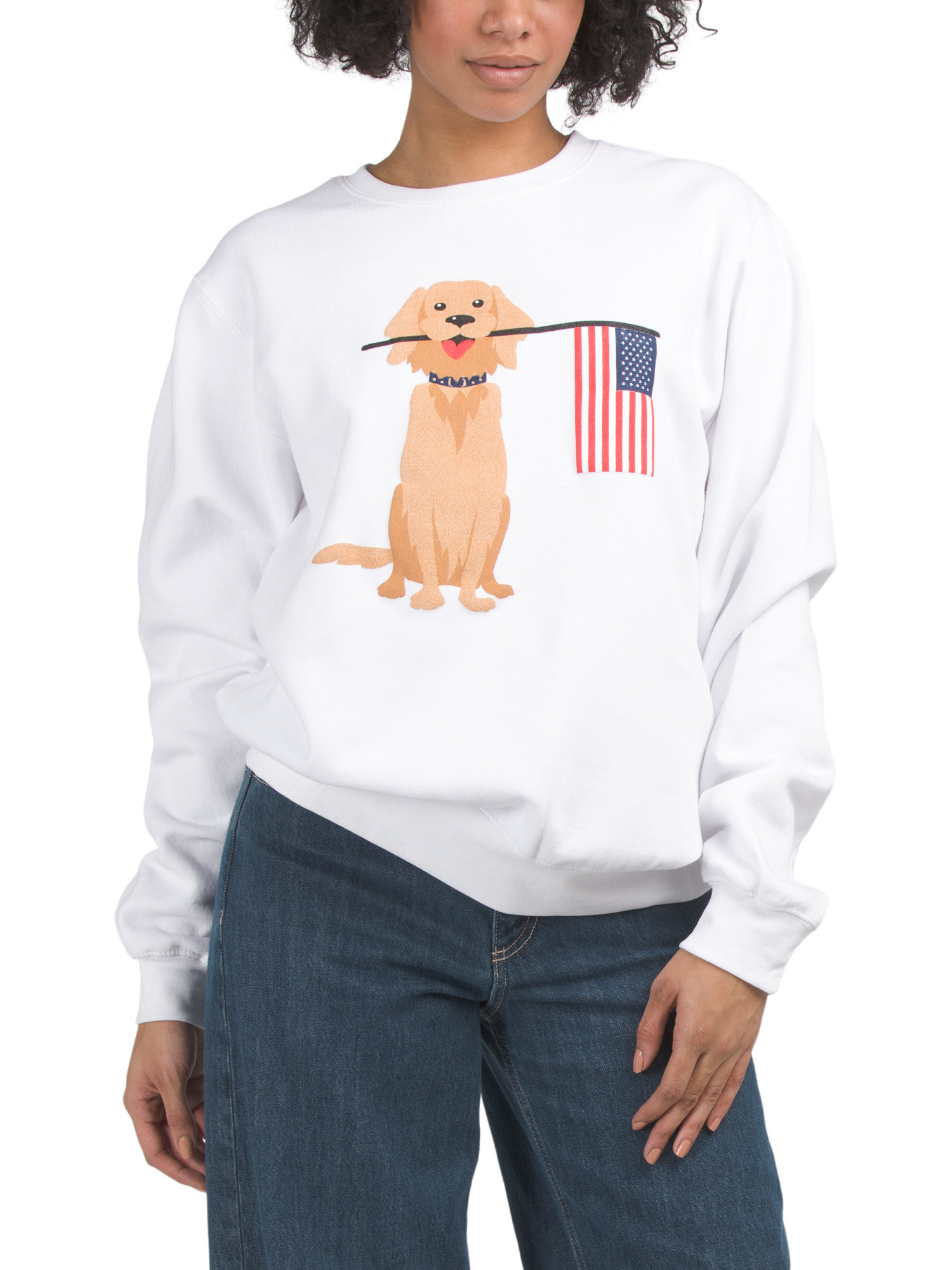 Golden Retriever Americana Crew Neck Sweatshirt | Marshalls