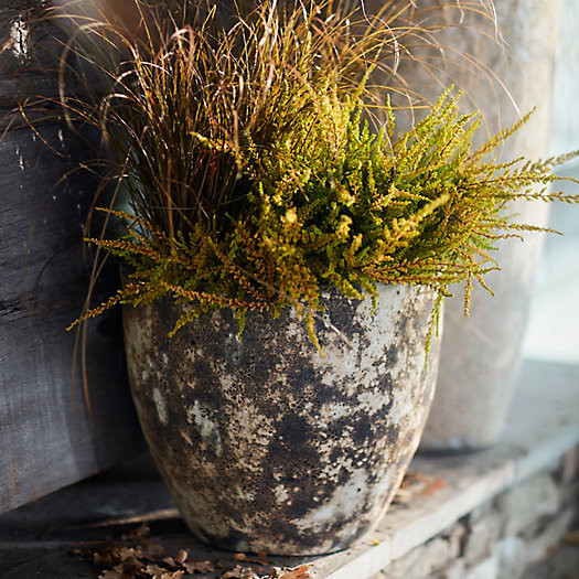 Barnacle Rounded Egg Planter, 15" | Terrain
