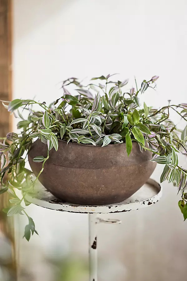 Olympia Terracotta Bowl Planter | Terrain