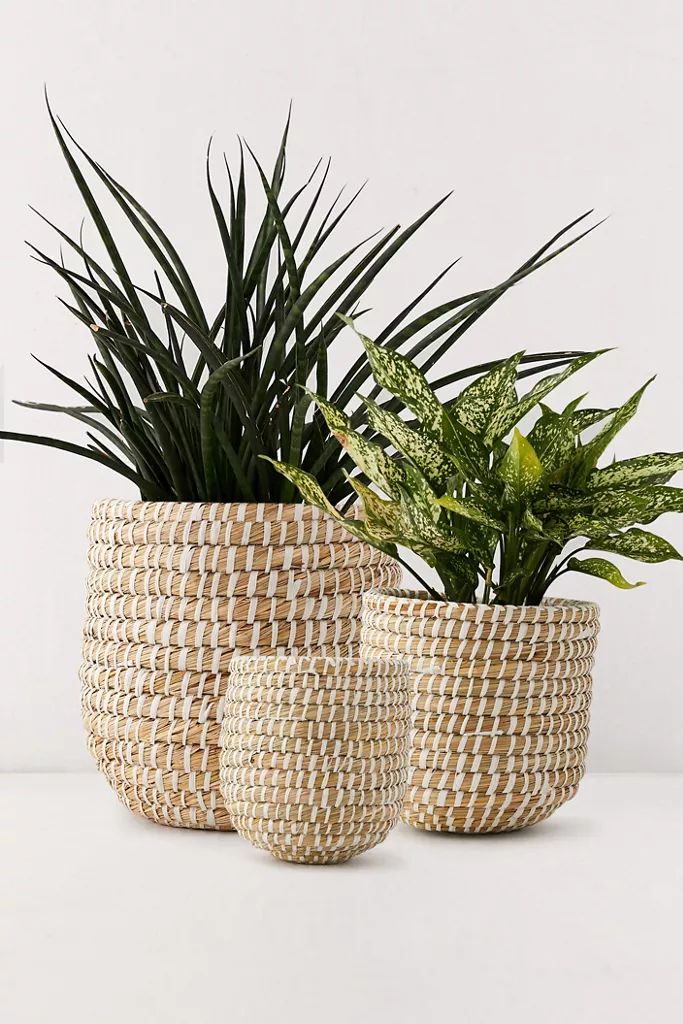 Dia Natural Basket Planter | Urban Outfitters (US and RoW)