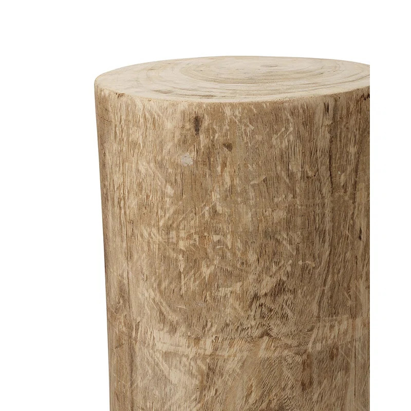 Agave End Table | Wayfair North America