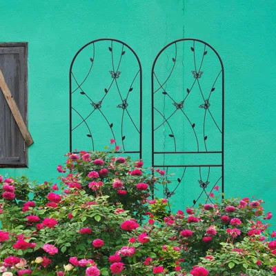 19.7" Rustproof Metal Trellis, For Outdoor Climbing Plants, Flower Stem, Black Garden Trellis 19.7", Rustproof, Plants In Garden, Zip Tie, | Wayfair North America