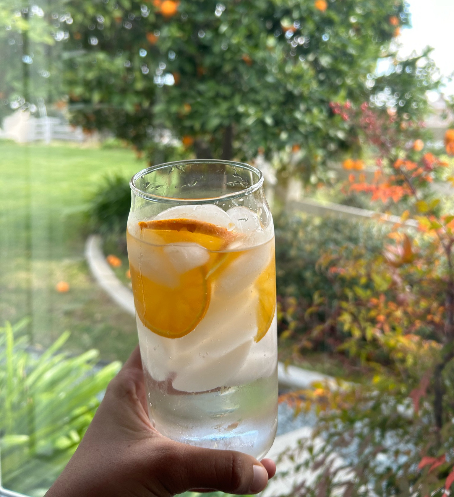 Glass cup 

#LTKHome