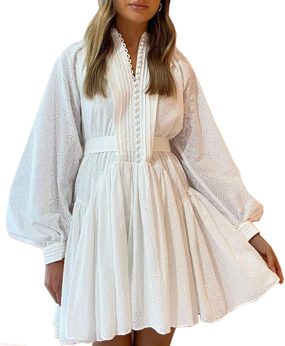 Roiii Women A-Line Lace Loose Baroque Button Down Long Sleeve Casual Dresses V Neck Embroidery Party | Amazon (US)