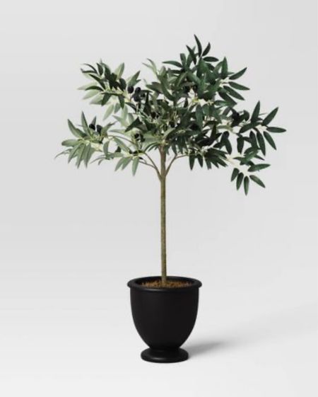 Clearance! Threshold 30” potted olive tree on clearance for $35!!

Target
Clearance 
Olive tree 

#LTKSaleAlert #LTKHome