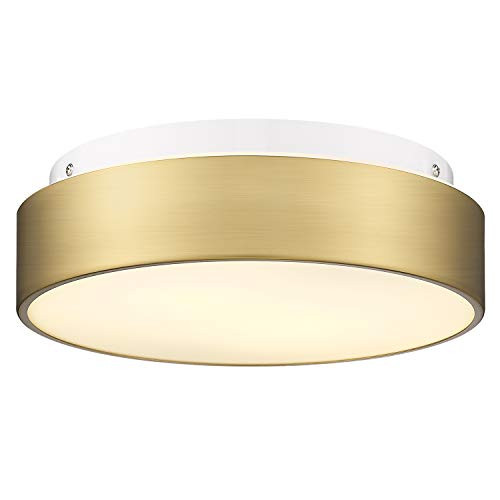 Autelo 2-Light Close to Ceiling Light Fixture, 11 inch Frosted Glass Shade Flush Mount Ceiling Light | Amazon (US)