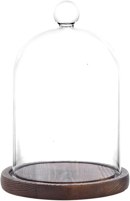 Glass Cloche Dome Bell Jar Display Case with Small Ball Top and Wooden Base for Plant,Collectible... | Amazon (US)