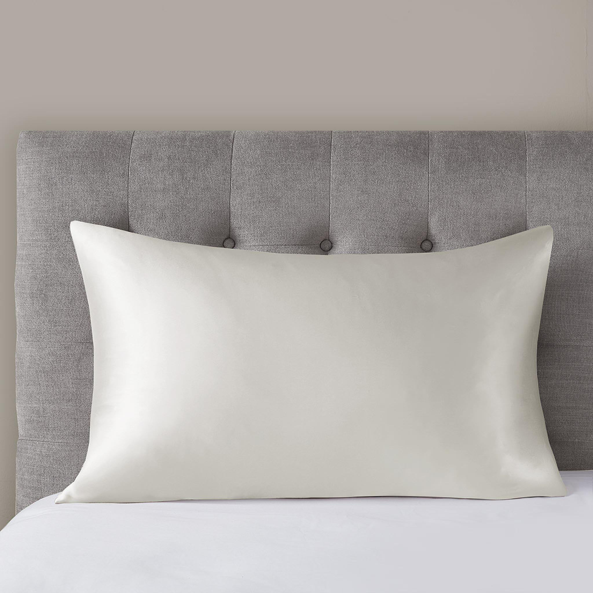 Mulberry Silk Pillowcase In Ivory MP21-7271 | 1stopbedrooms