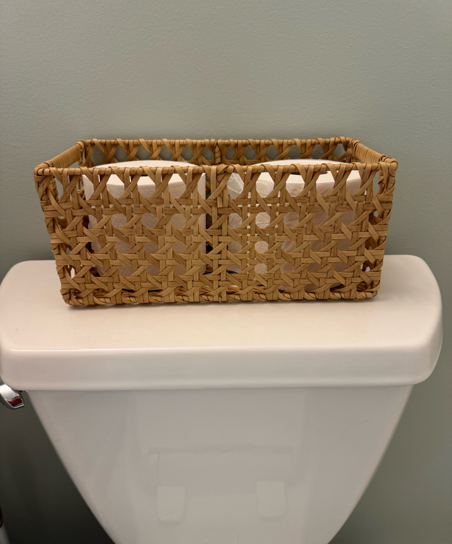 This basket comes in a 2 pack for only $15! Perfect for anywhere around the house. 

Storage ideas, storage basket, home finds, affordable home finds 

#LTKSeasonal #LTKFindsUnder50 #LTKHome