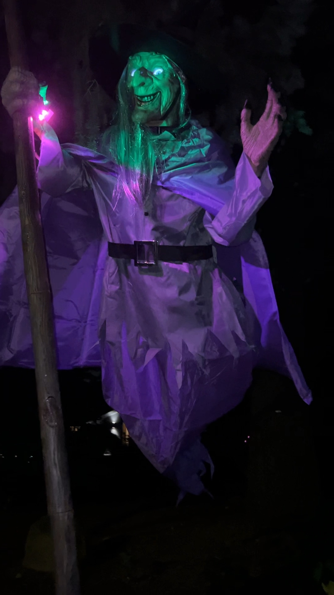 Flying Witch

#LTKSeasonal #LTKFindsUnder100 #LTKHalloween