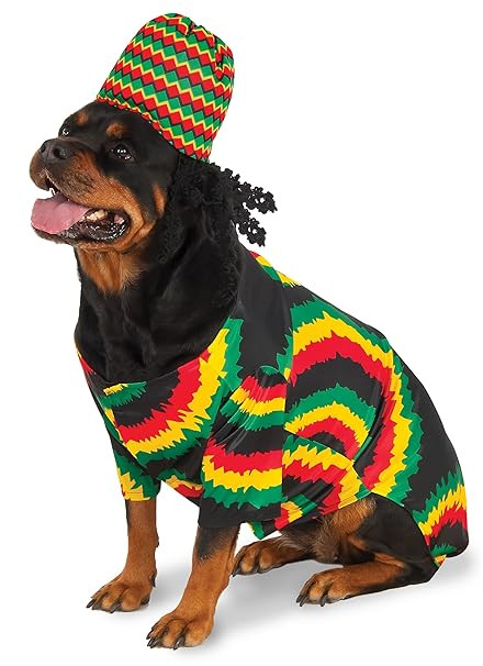 Rubie's Rasta Big Dog Boutique | Amazon (US)