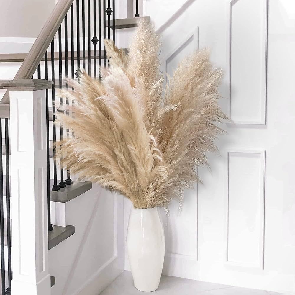 10pcs 40'' Tall Natural Dried Pampas Grass - Elegant Fluffy Pampas Grass for Floor Vase - Beige P... | Amazon (US)