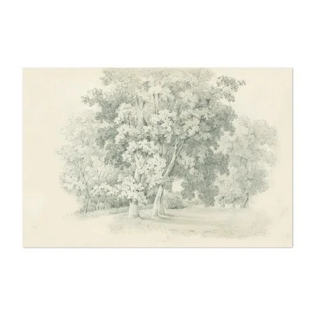 Edge of the Woods Sketch Drawing Floral Botanical Nature 24 x 36 Art Print/Poster | Walmart (US)