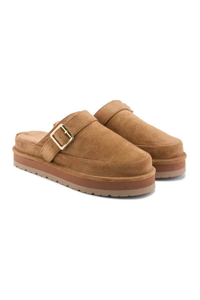 Madden Girl Graham Clogs for Women in Tan | Glik's
