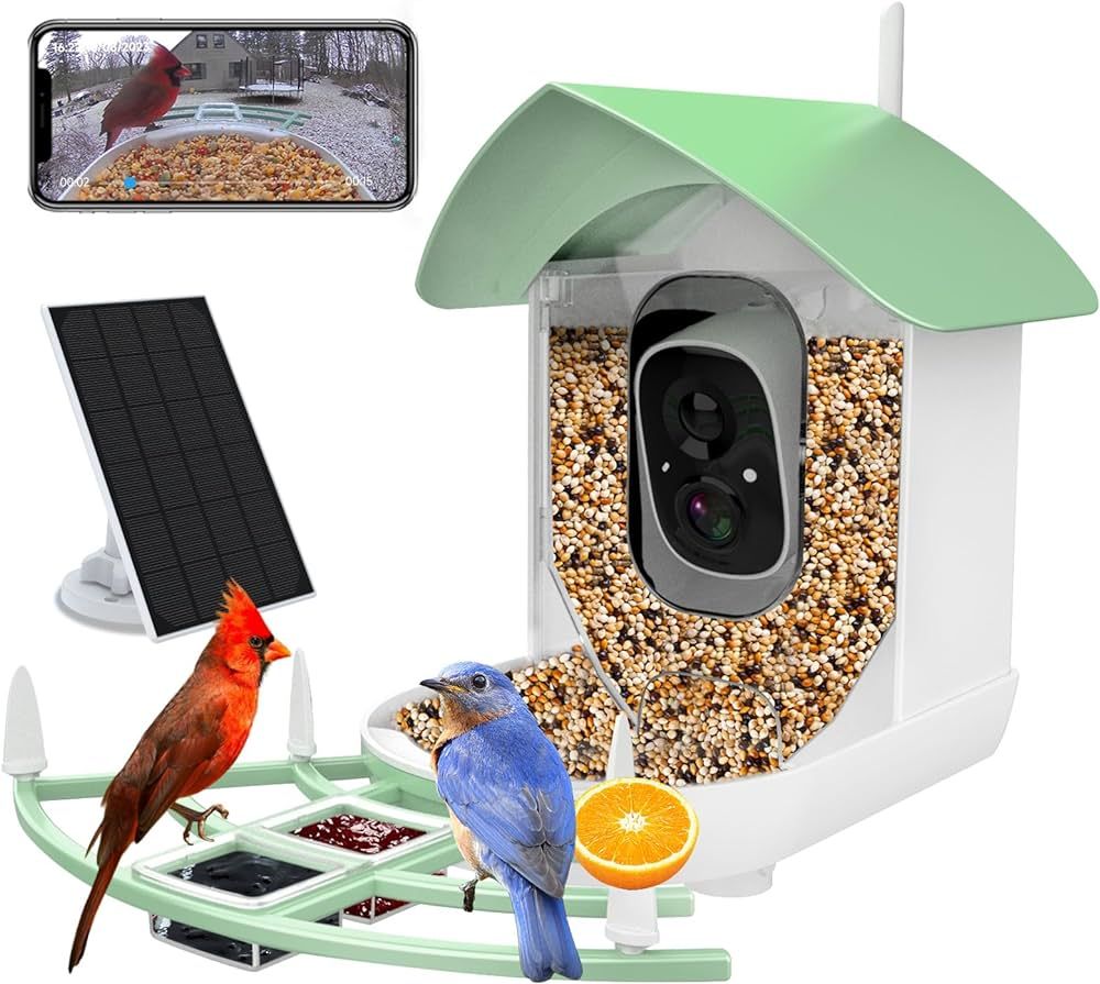 Bird Feeder with Camera, AI Identify Bird Species, FHD 1080p Video Quality Bird Watching, Wireles... | Amazon (US)