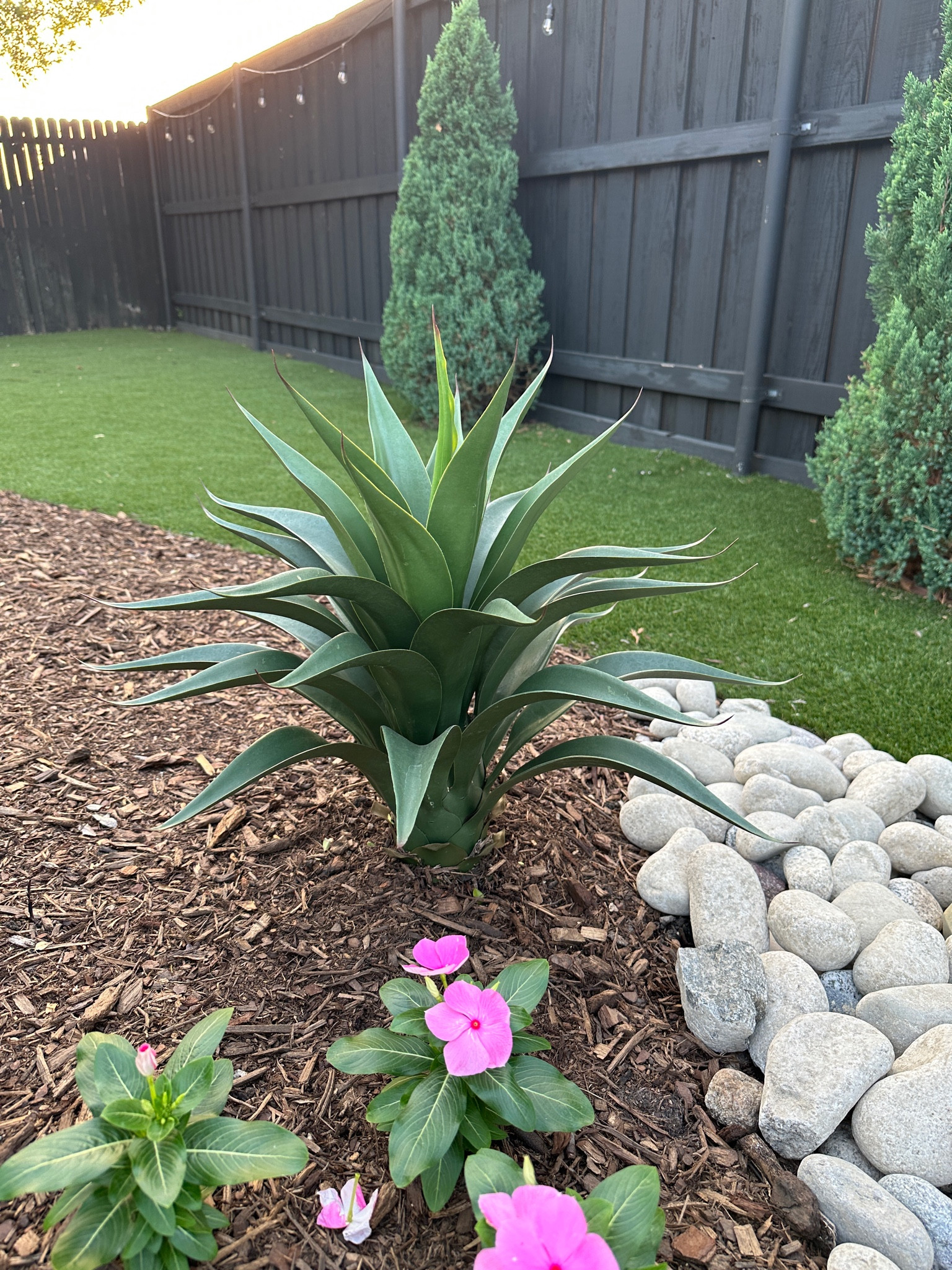 Beautiful faux plant! 

#LTKhome #LTKFind #LTKSeasonal