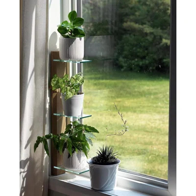 3-Tier No-Drill Window Sill Plant Shelf For Indoor Plants | Removable Solid Wood & Glass Plant Stand With Hook-And-Loop Fasteners | Renter Friendly De | Wayfair North America