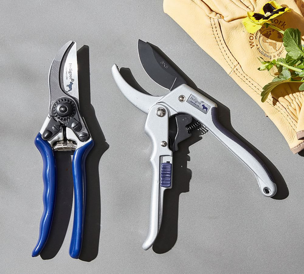 Gardening Shears | Pottery Barn (US)