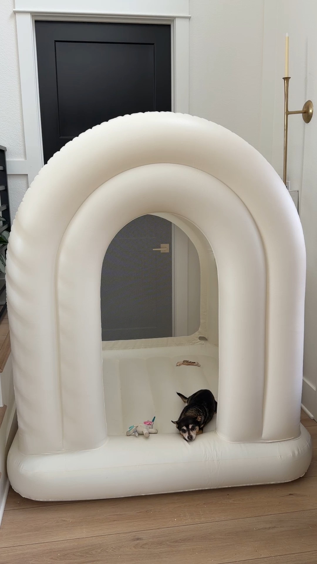 We ALL love our bounce house 😂👏

#LTKKids #LTKHome #LTKBaby