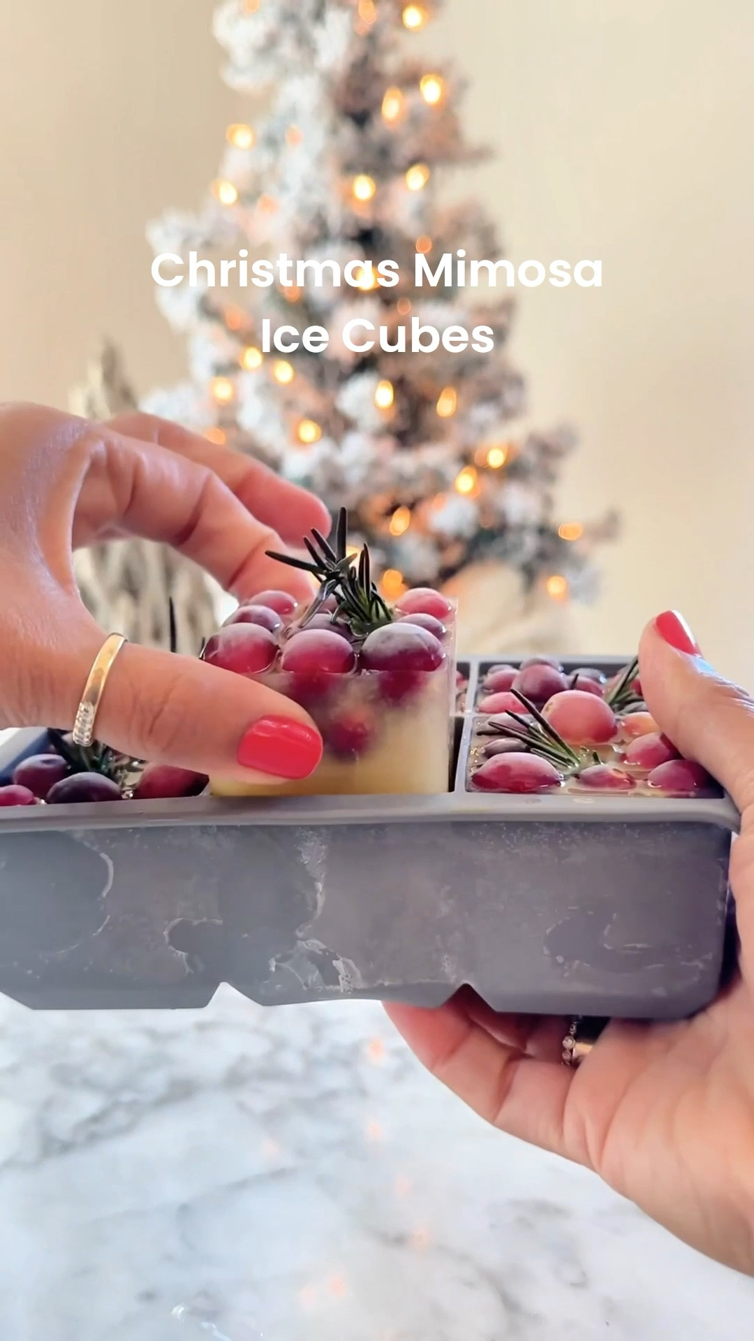 Make Christmas mimosa ice cubes for your holiday drinks! #mimosa #christmas #icecube

#LTKHoliday #LTKGiftGuide #LTKHome