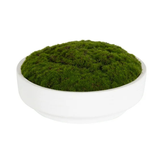 Better Homes & Gardens 8" Faux Moss in Ceramic Bowl | Walmart (US)