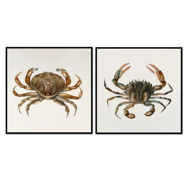 Vintage Crab Pair | Urban Garden Prints