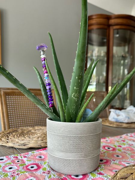 This gorgeous 6” pot is ceramic and around $7! I couldn’t believe it. Love the texture it adds to my aloe plant (which I need to formally repot in it). Linked some others that I loved, too!

#LTKFindsUnder50 #LTKSeasonal #LTKHome