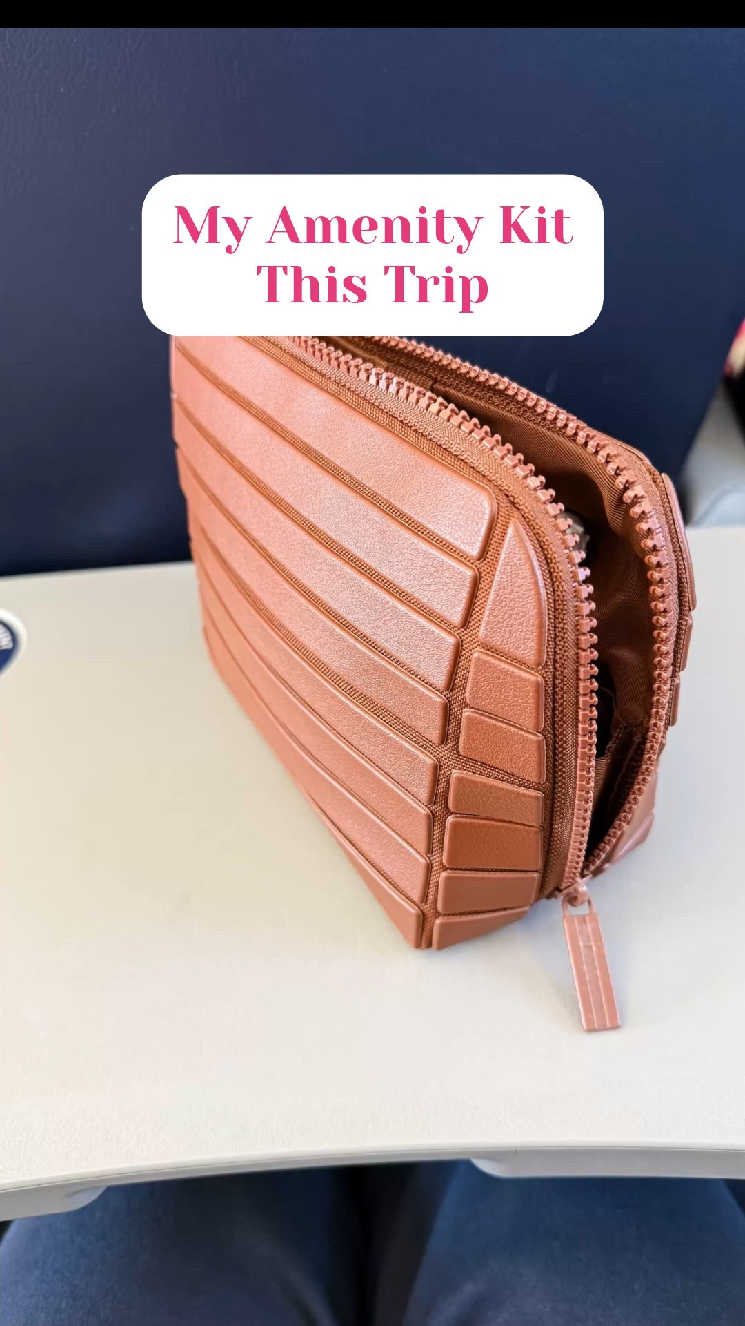 What I packed in my in-flight Amenity Kit this trip

#LTKTravel #LTKFindsUnder50