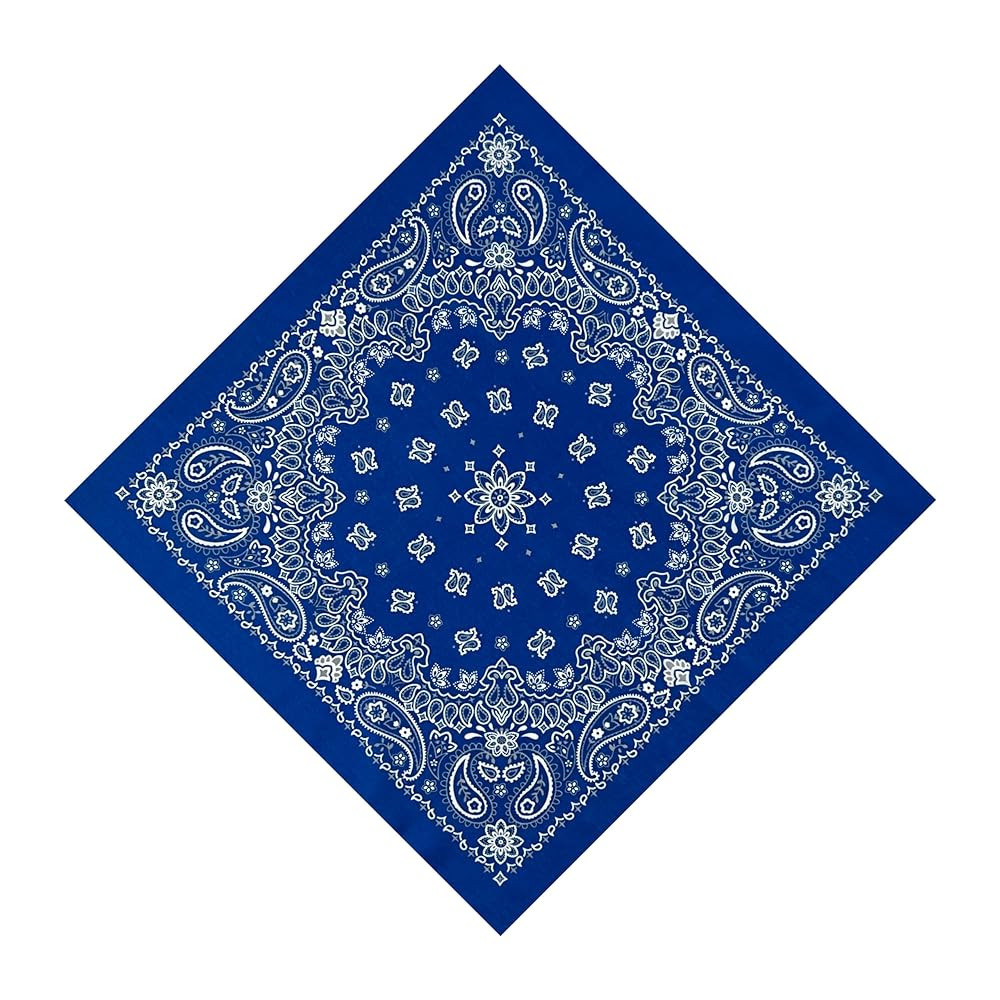 Unisex Bandanas Single Pack Super Soft Cotton 22 inch Cowboy Large Handkerchief with Nice Package | Amazon (US)
