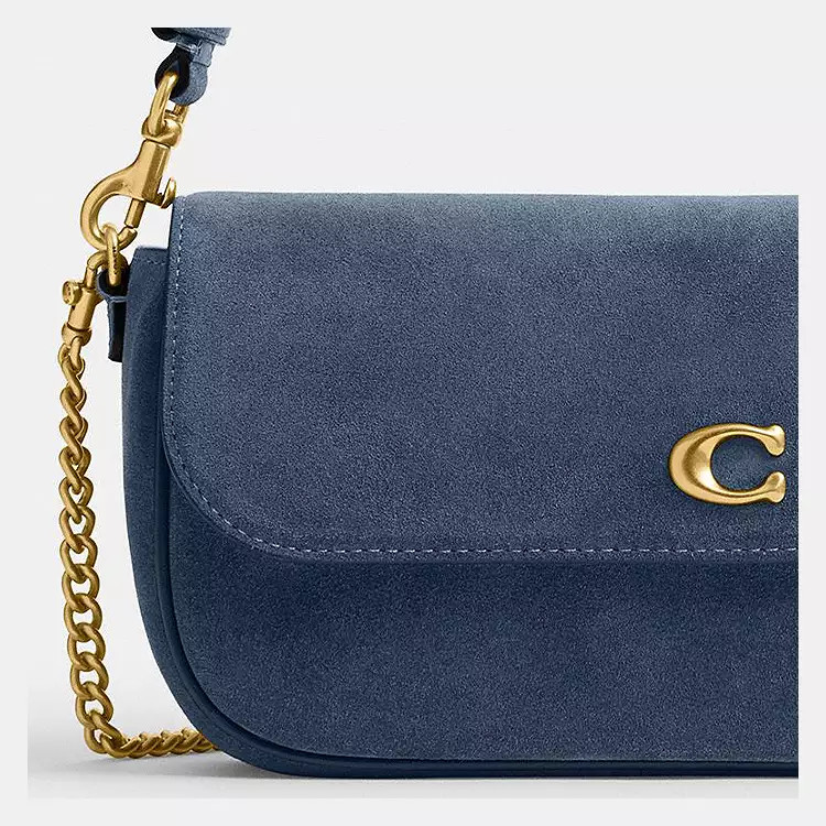 Brook Flap Chain Bag | Coach (US)