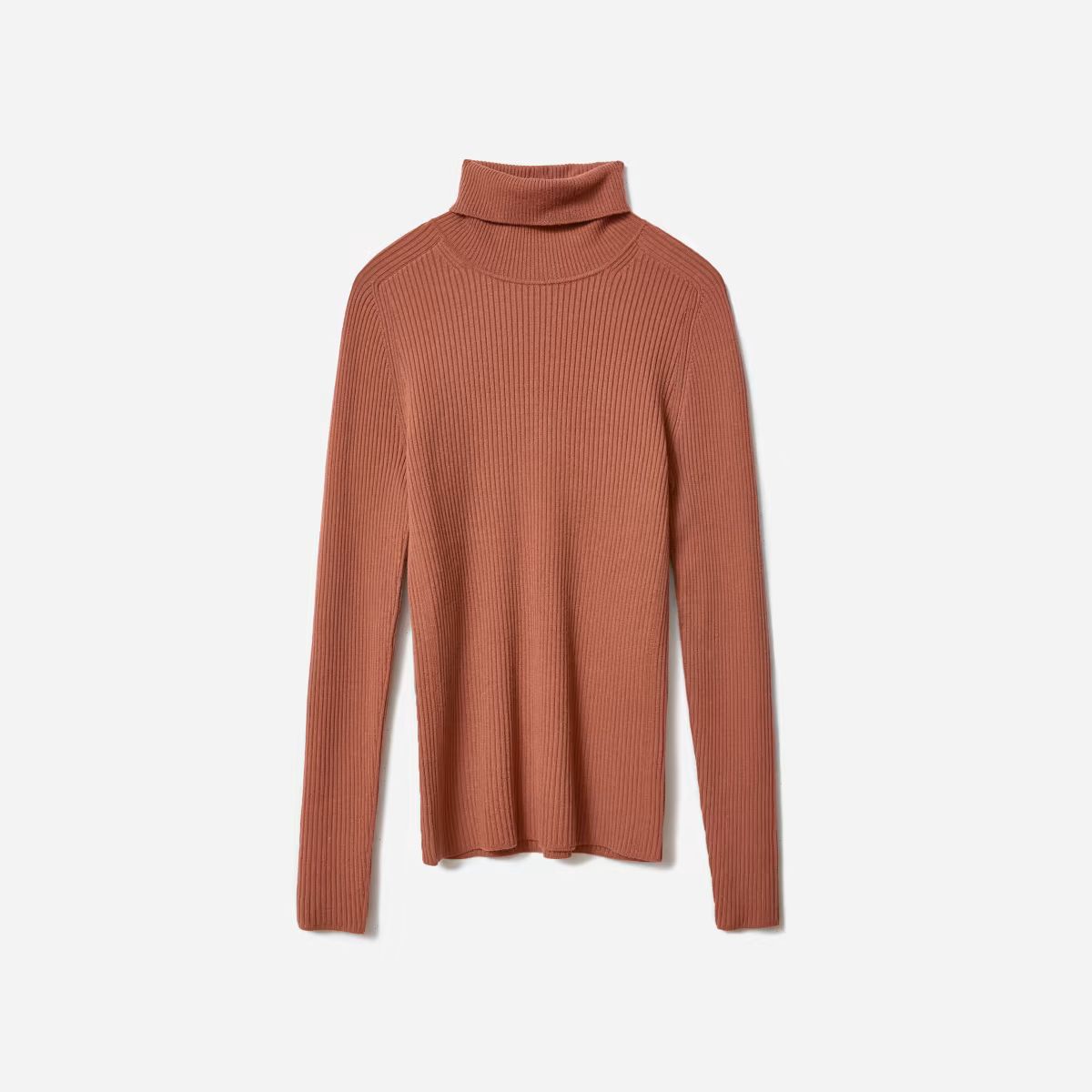 The Italian Merino Rib Turtleneck | Everlane