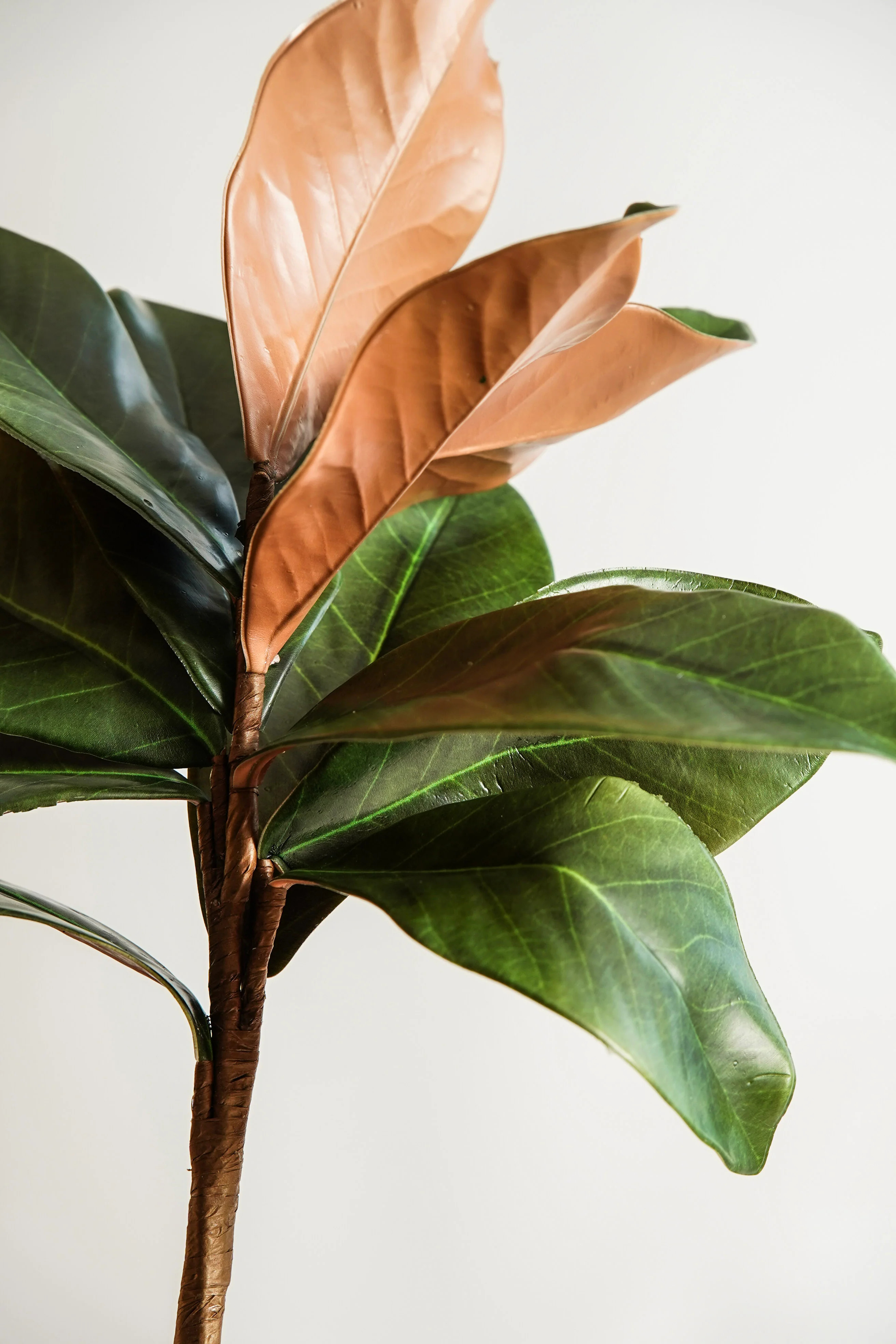 Real Touch Magnolia Leaf Branch | MJHome