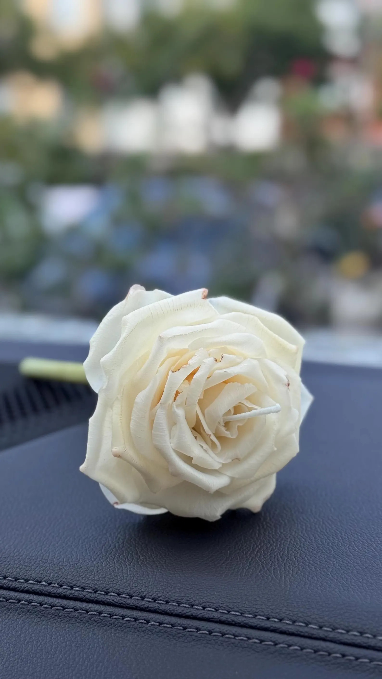 Handmade Beeswax Rose Candle: Unique Flower Gift | Etsy (US)