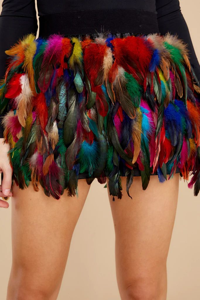 Feather Rainbow Skirt | Red Dress 