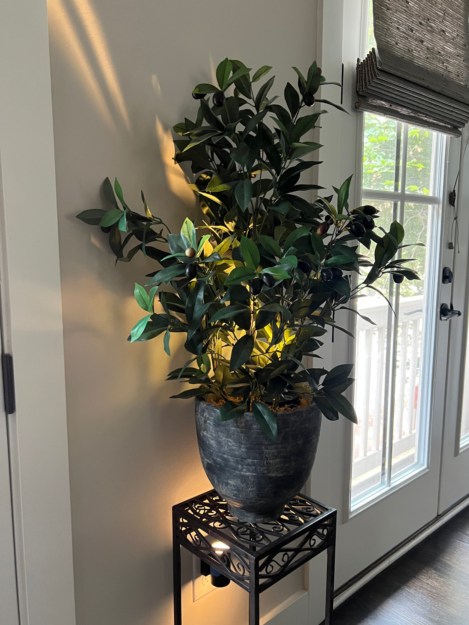 Nightlights and plant lights! 