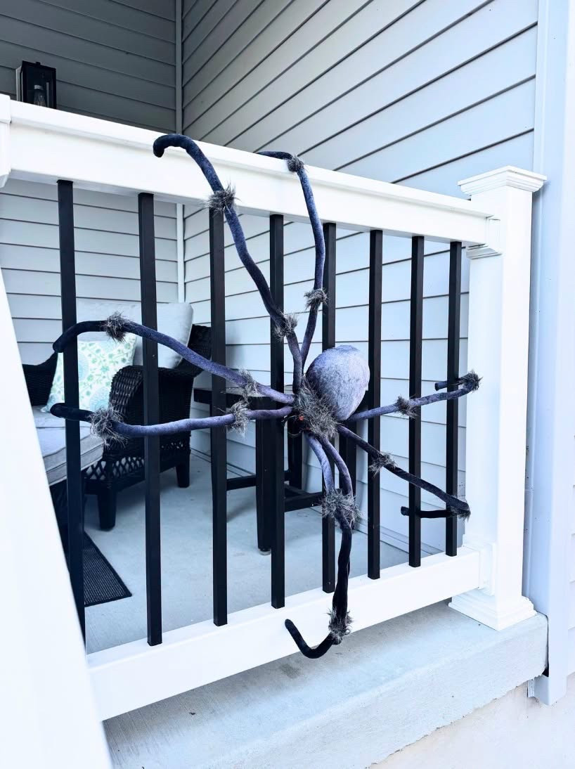 Get this 50 inch spider for $10

Halloween outdoor decorations
Spooky front porch decor
Halloween yard decorations
Outdoor Halloween lights
Halloween porch signs
Halloween door decorations
Spooky outdoor lanterns
Halloween lawn decor
Outdoor ghost decorations
Halloween pathway lights

#LTKSeasonal #LTKHome #LTKSaleAlert
