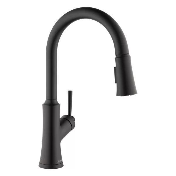 4793670 Joleena Pull Down Single Handle Kitchen Faucet | Wayfair North America