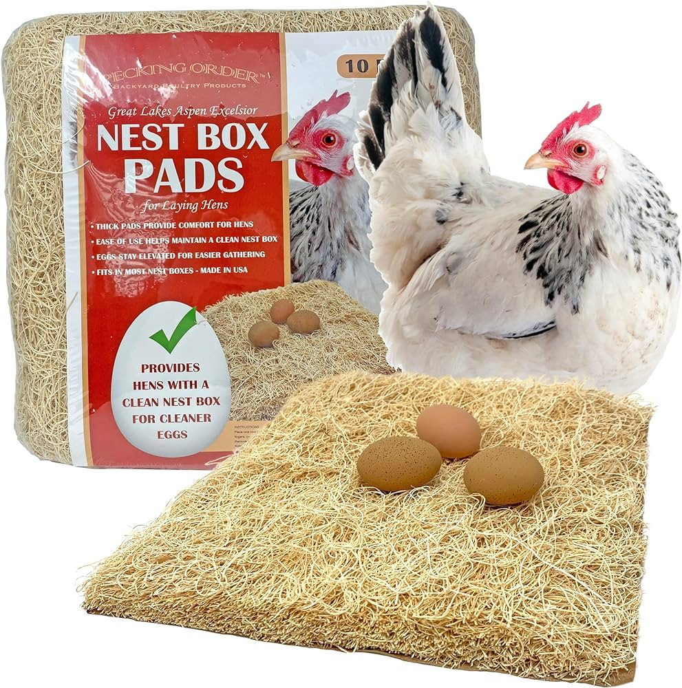 Nest Box Pads for Chicken Nesting Boxes - 13 x 13 Pads Made in USA from Sustainably Sourced Aspen... | Amazon (US)