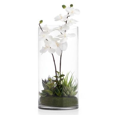 Faux Potted Orchid With Succulents | Z Gallerie