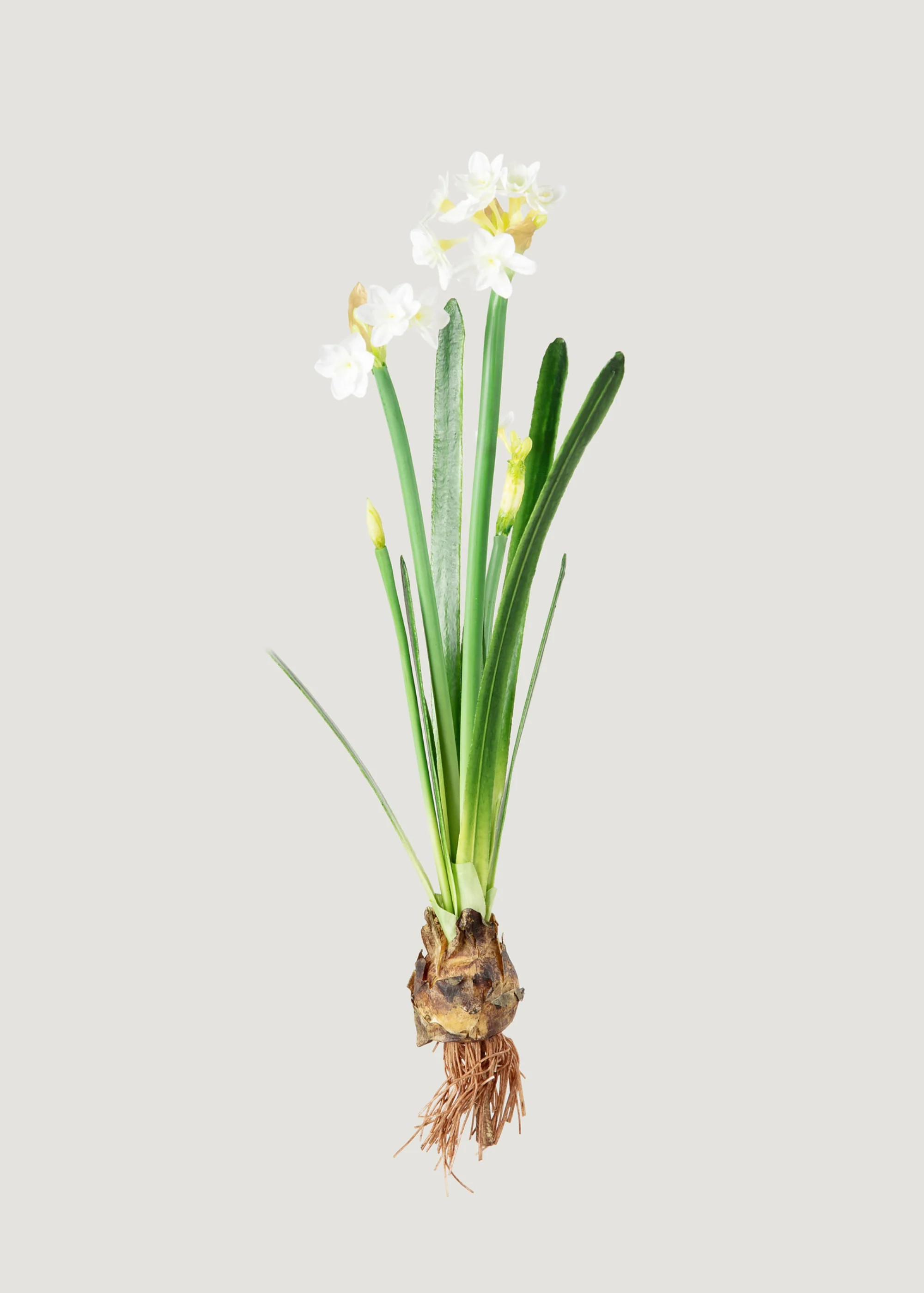 Spring Paperwhite Blooms with Bulb | Faux Flowers at Afloral | Afloral