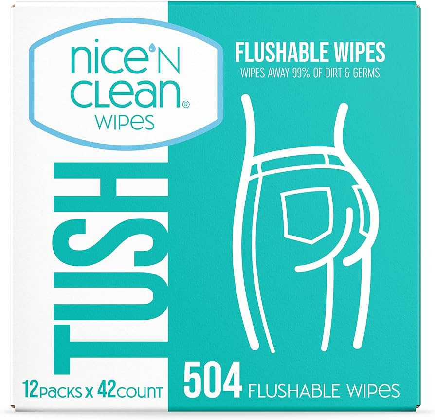 Nice 'N Clean Adult Flushable Wipes (12 x 42 Count) | Personal Cleansing Wipes Made from Plant-Ba... | Amazon (US)