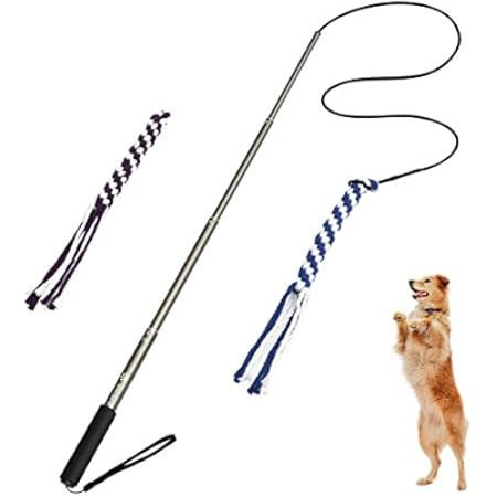 Flirt Pole for Dogs with Safe & Strong Non-Bungee Cord - Durable Telescopic Lure Stick for Dogs of A | Amazon (US)