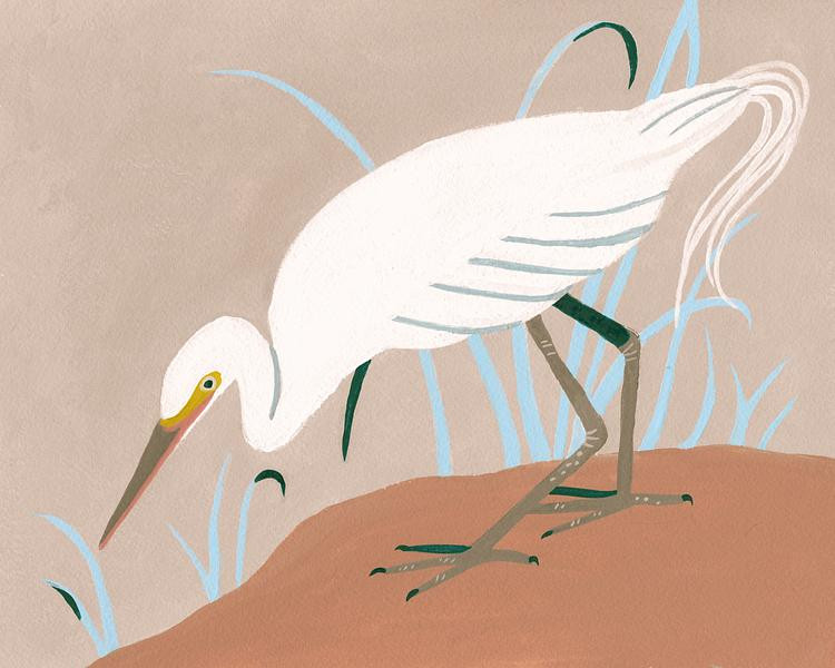 Great Egret | Artfully Walls