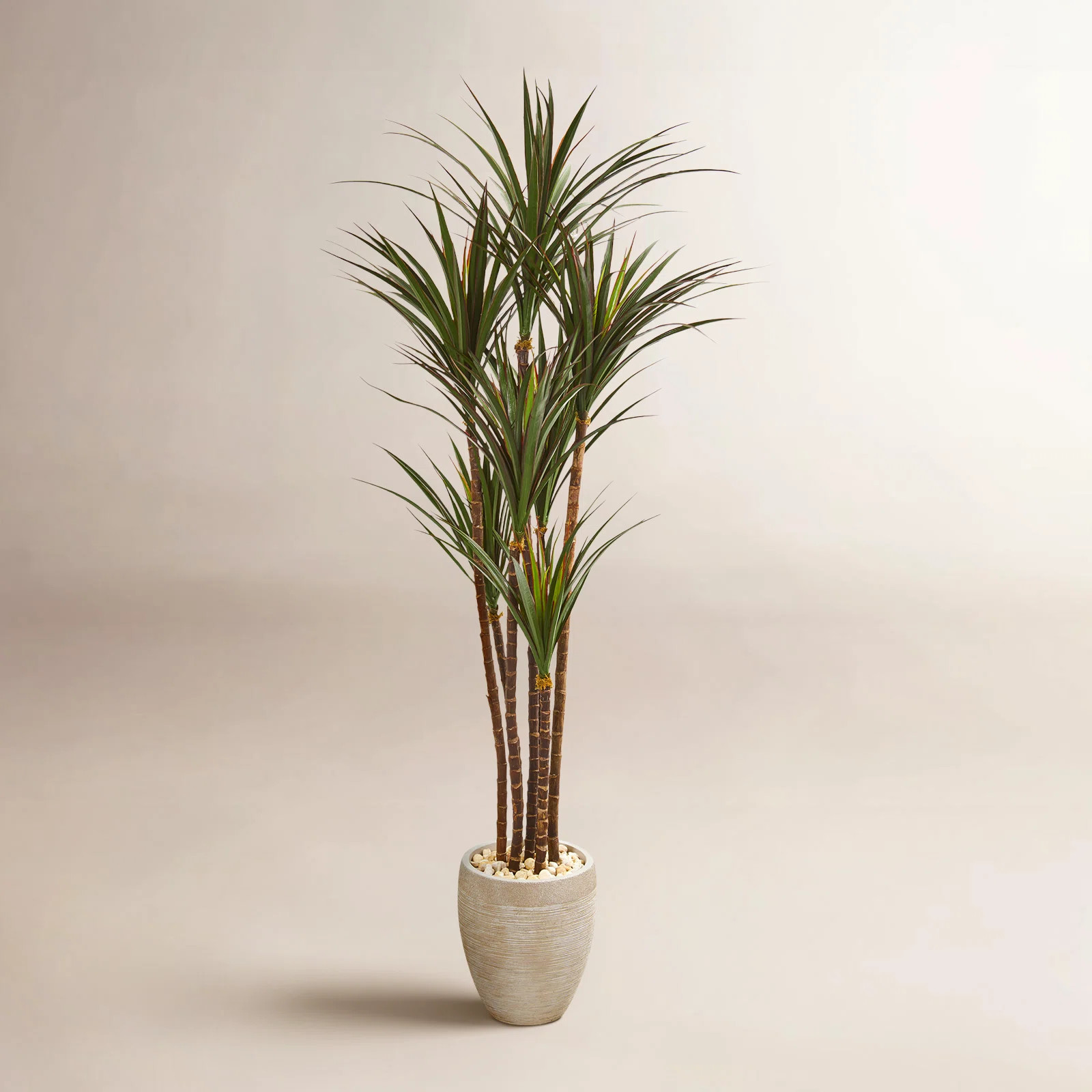 Birch Lane™ 68in. Giant Yucca Artificial Tree in Planter UV Resistant (Indoor/Outdoor) & Review... | Wayfair North America