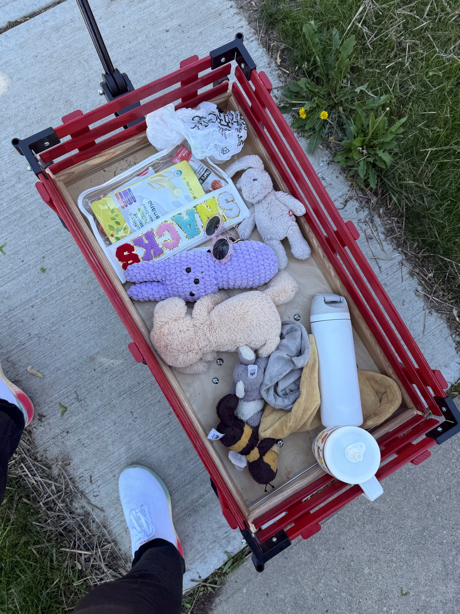 Wagon essentials 

#LTKFamily #LTKSeasonal #LTKKids