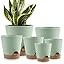 YNNICO Indoor Self Watering Planters with Drainage Holes and Saucers, 8, 7, 6.5, 6, 5.5, 5 Inches... | Amazon (US)