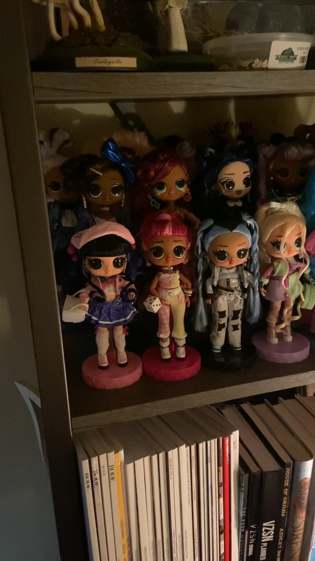 Just a quick tour of some of my dolls! LOL OMG, Rainbow High, and Na Na Na Surprise dolls are featured! These truly make the perfect gifts for kids or collectors. 

#LTKkids #LTKGiftGuide #LTKHoliday